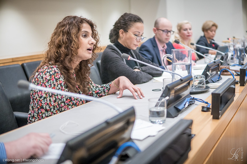 Diane Bacchus at The United Nations